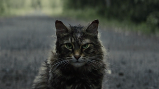 <i>Pet Sematary</i>'s first trailer leans into the folk horror of Stephen King's scariest book